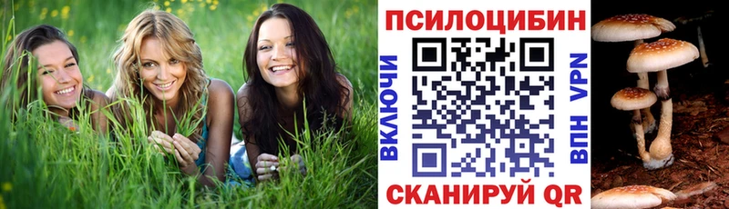 Псилоцибиновые грибы мицелий  Купить  Ступино 